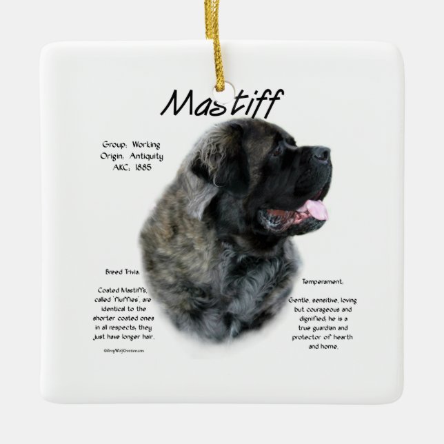 Ornement En Céramique Brindle Fluffy Mastiff Historique (Devant)