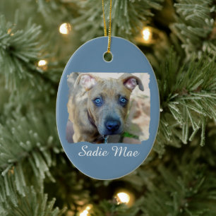 Ornement En Céramique Brindle Pit Bull Puppy par Shirley Taylor