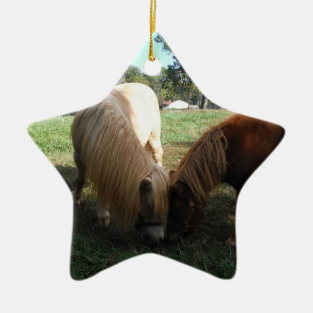 Ornement En Céramique Brown Blond" Chevaux miniatures"Deux Petits Poney (Devant)