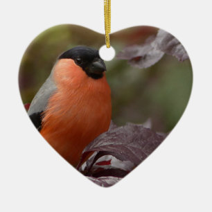 Ornement En Céramique Bull Finch