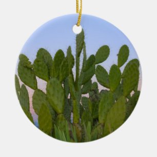 Ornement En Céramique Cactus et sisal dans la forêt sèche
