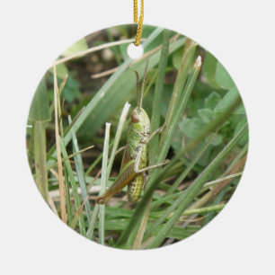 Ornement En Céramique Camouflage Grasshopper sur mesure Anniversaire