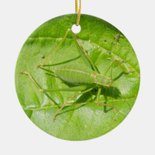 Ornement En Céramique Camouflage vert cricket personnalisé Anniversaire