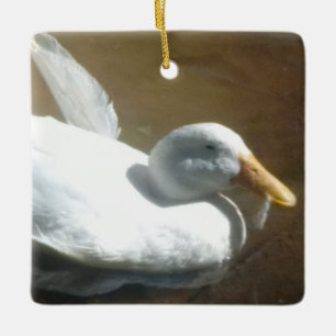 Ornement En Céramique Canard