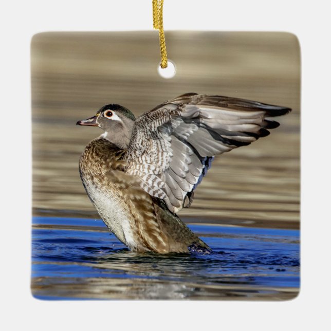 Ornement En Céramique Canard branchu battant des ailes (Devant)