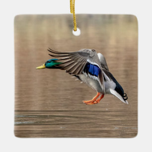 Ornement En Céramique Canard colvert en vol