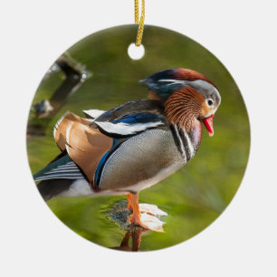 Ornement En Céramique Canard de mandarine