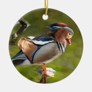 Ornement En Céramique Canard de mandarine