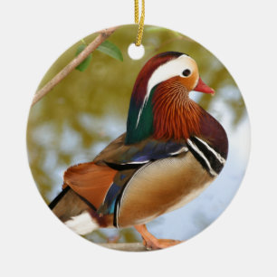 Ornement En Céramique Canard mandarin