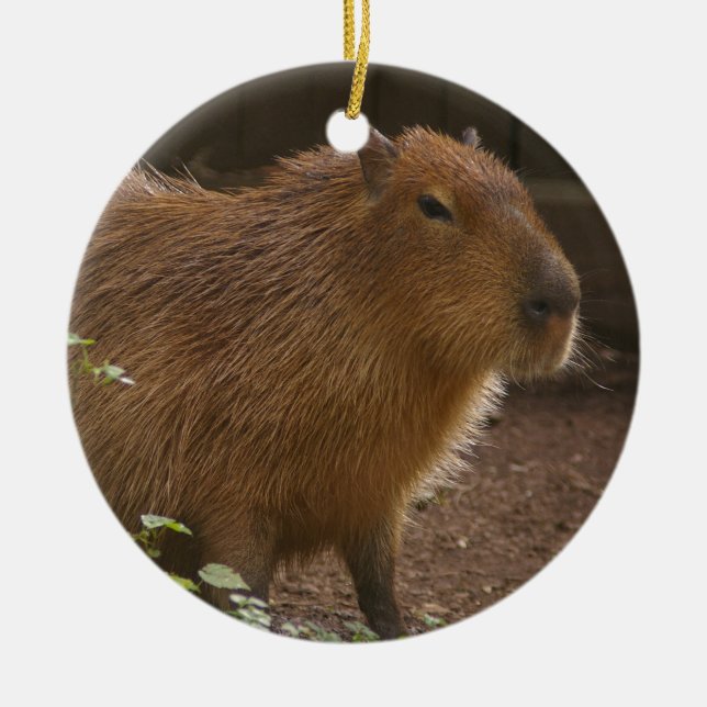 Ornement En Céramique Capybara (Devant)