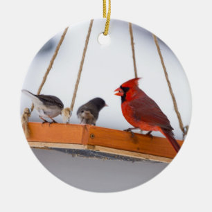Ornement En Céramique Cardinal et Juncos