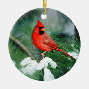 Ornement En Céramique Cardinal rouge mâle sur un arbre, IL