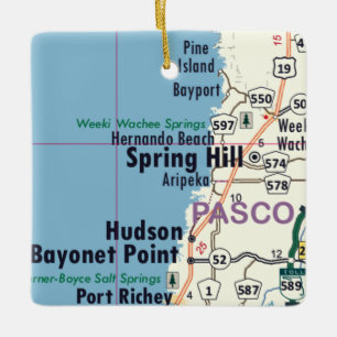 Ornement En Céramique Carte de Spring Hill Florida