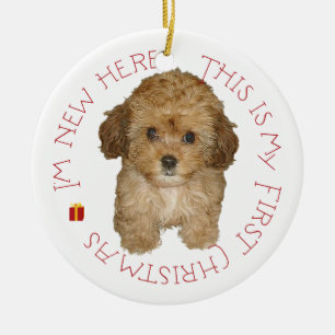 Ornement En Céramique Cavachon Chiot Premier Noël