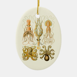 Ornement En Céramique Cephalopod poulpe calmar Nature marine