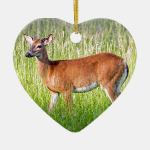 Ornement En Céramique Cerf Dans L'Herbe Haute