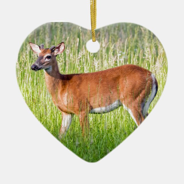 Ornement En Céramique Cerf Dans L'Herbe Haute (Devant)