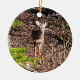 Ornement En Céramique Cerfs Adorables dans la Photographie de Nature en