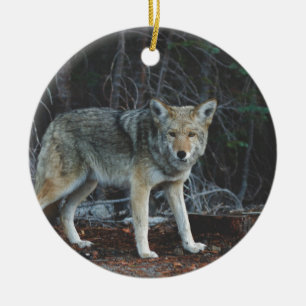 Ornement En Céramique Chasse de coyote