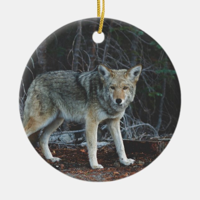 Ornement En Céramique Chasse de coyote (Devant)
