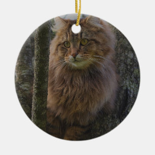 Ornement En Céramique Chat à Coon du Maine - Chat d'arbre