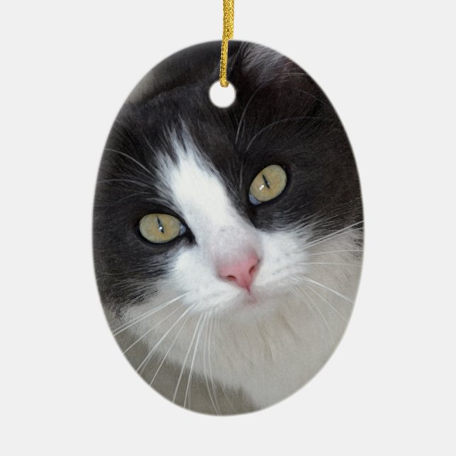 Ornement En Céramique Chat assez gris et blanc (Devant)