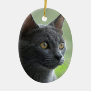 Ornement En Céramique Chat bleu russe
