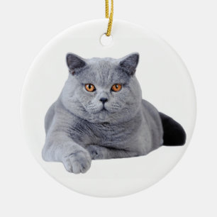 Ornement En Céramique Chat britannique de shorthair