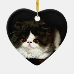 Ornement En Céramique Chat chaton blanc noir mignon