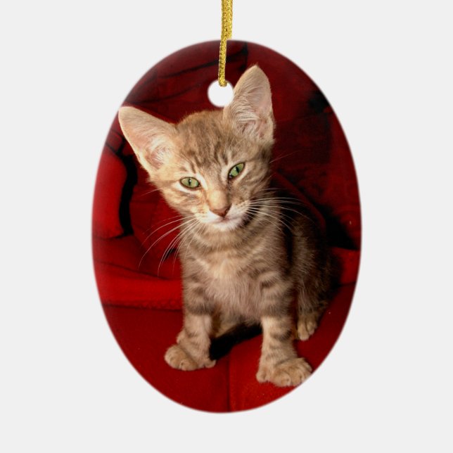 Ornement En Céramique Chat de Hemingway (Devant)