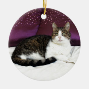 Ornement En Céramique Chat de tigre