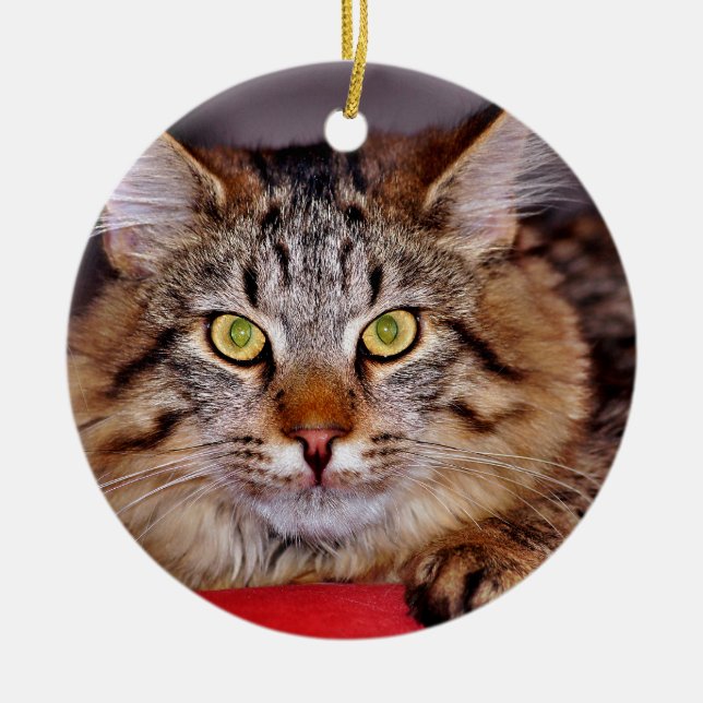 Ornement En Céramique Chat du Maine-Coone (Devant)