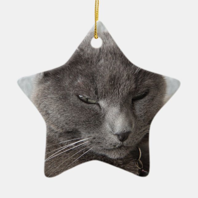 Ornement En Céramique Chat gris (Devant)