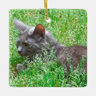 Ornement En Céramique Chat gris de Tortie