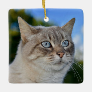 Ornement En Céramique Chat Lynx Point aux yeux bleus