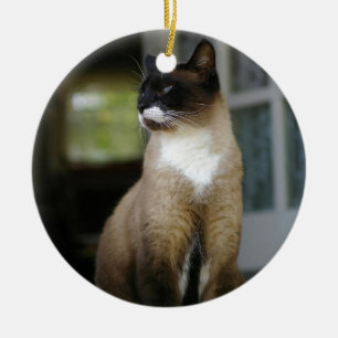 Ornement En Céramique Chat siamois sur le porche