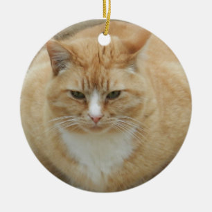 Ornement En Céramique Chat tigré rouge