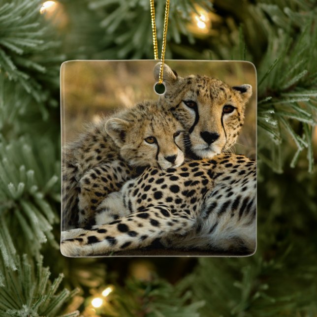 Ornement En Céramique Cheetah Cub se démène avec sa mère (Arbre)