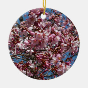 Ornement En Céramique Cherry Blossoms et Blue Sky Spring Floral