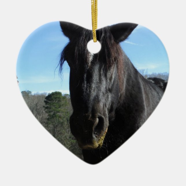 Ornement En Céramique Cheval à bascule noir secouru (Devant)