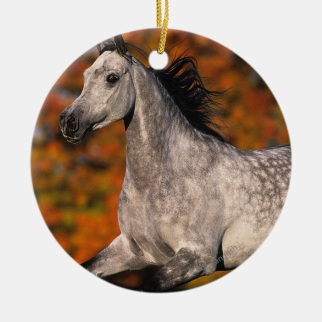 Ornement En Céramique Cheval arabe : Automne 1 (Devant)