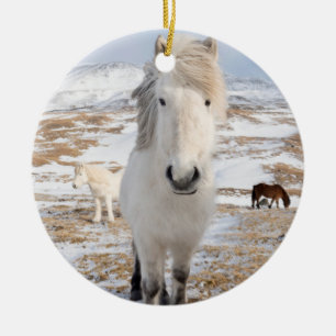 Ornement En Céramique Cheval Blanc Islandais, Islande