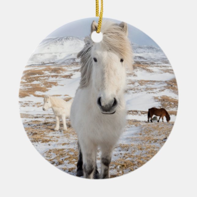 Ornement En Céramique Cheval Blanc Islandais, Islande (Devant)