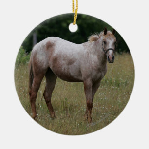 Ornement En Céramique Cheval d'Appaloosa se tenant dans l'herbe