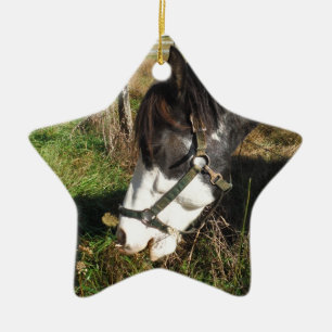 Ornement En Céramique Cheval Peint, Manger Reine Ann Fleur dentelle