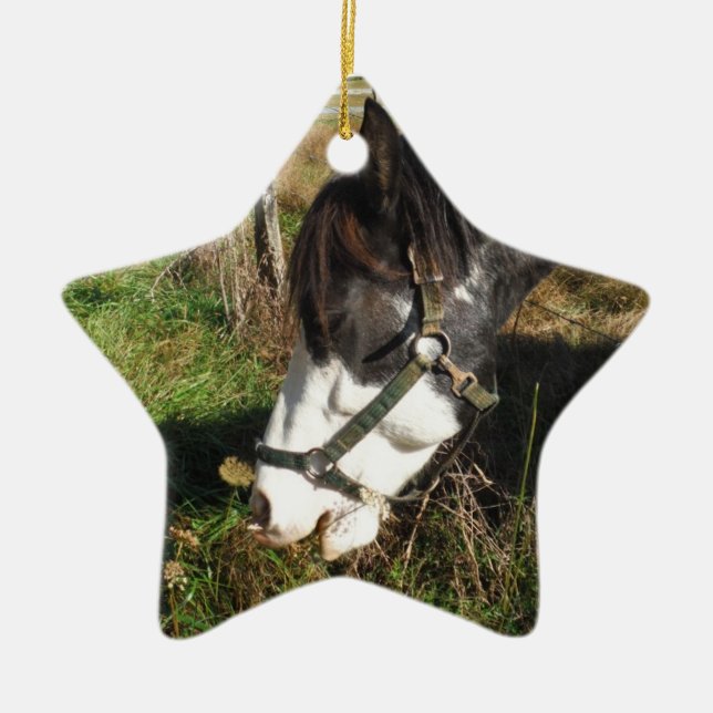 Ornement En Céramique Cheval Peint, Manger Reine Ann Fleur dentelle (Devant)