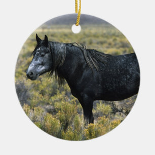 Ornement En Céramique Cheval sauvage de mustang dans le désert