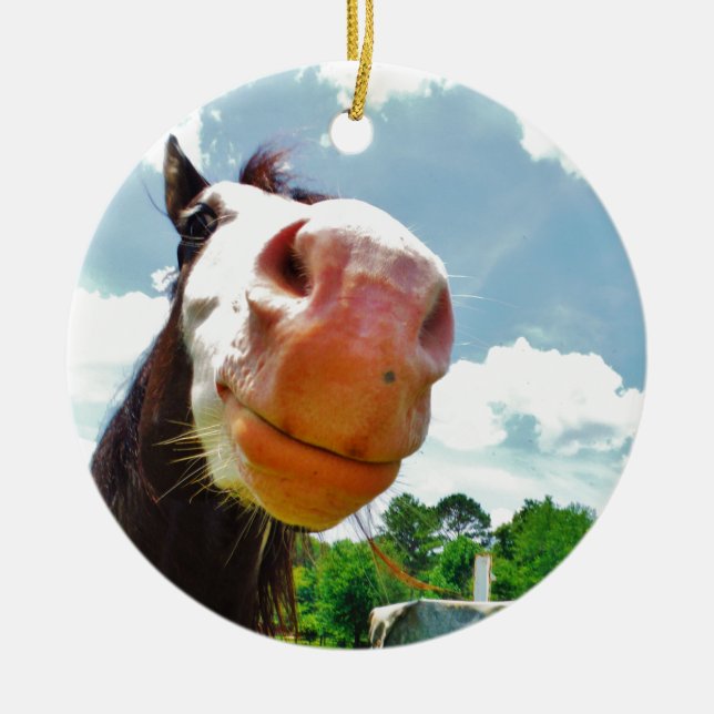 Ornement En Céramique Cheval souriant (Devant)
