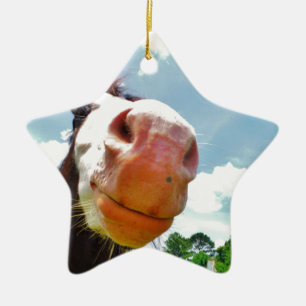 Ornement En Céramique Cheval souriant