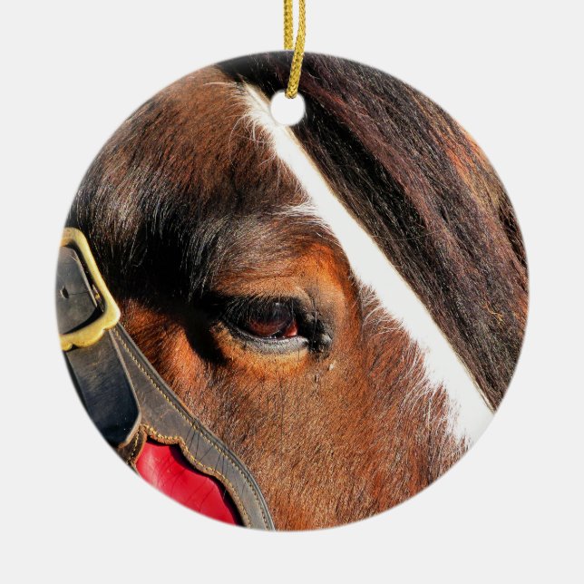 ORNEMENT EN CÉRAMIQUE CHEVAUX (Devant)